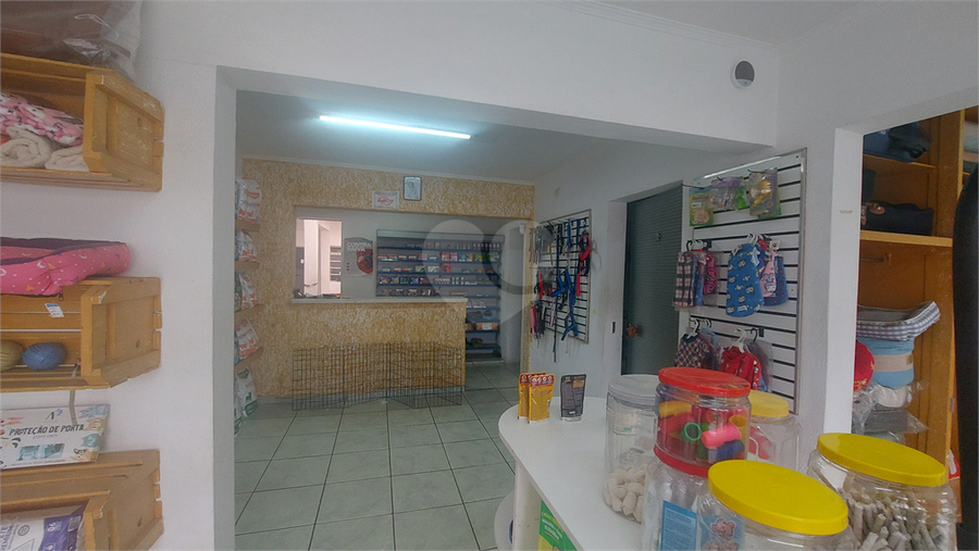 Foto REO1099130