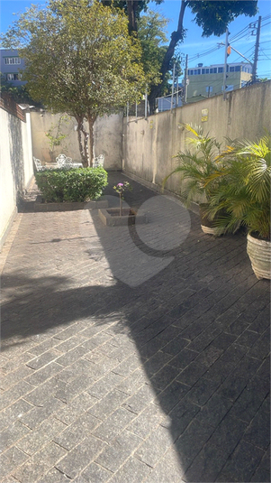 Foto REO1099132