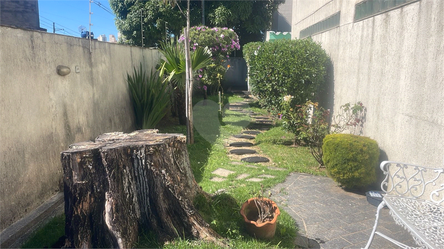 Foto REO1099132