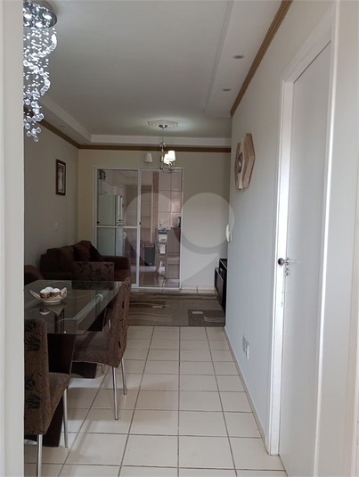 Foto REO1099147