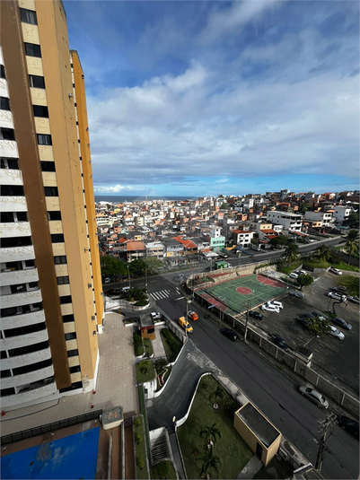 Foto REO1099155