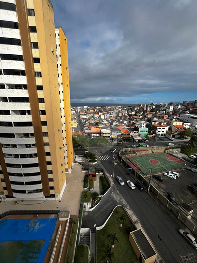 Foto REO1099155