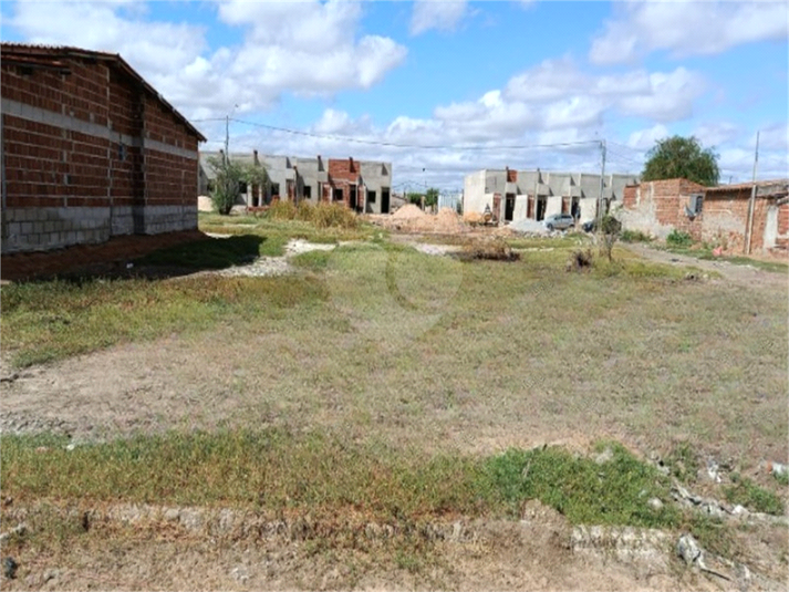 Foto REO1099163