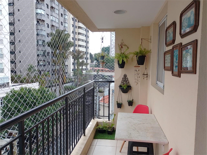 Foto REO1099168