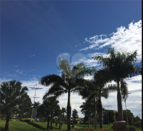 Foto REO1099169