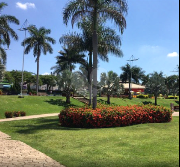 Foto REO1099169