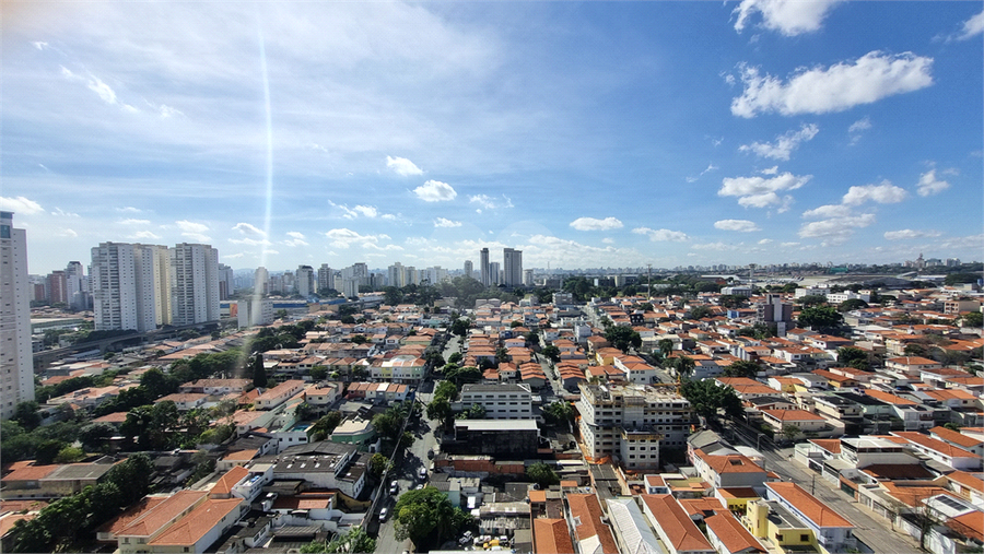 Foto REO1099171
