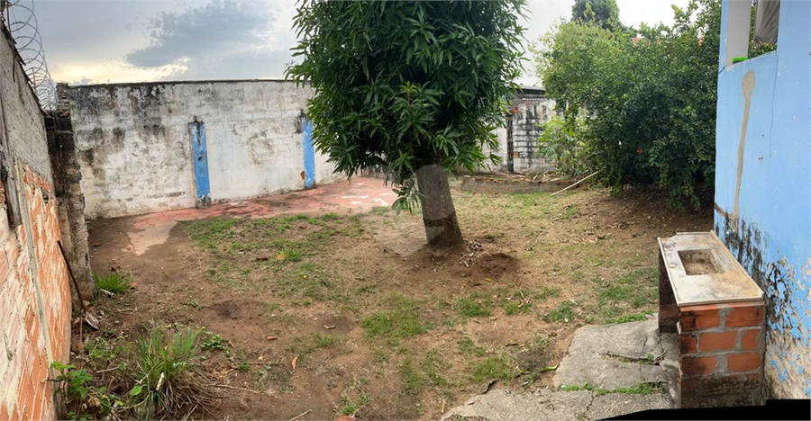 Foto REO1099194