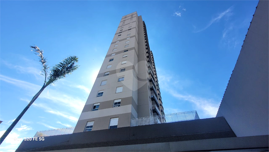 Foto REO1099196