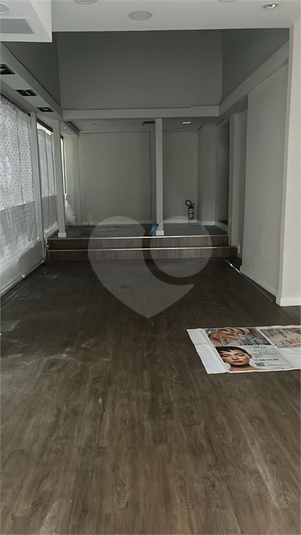Foto REO1099227