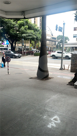 Foto REO1099227