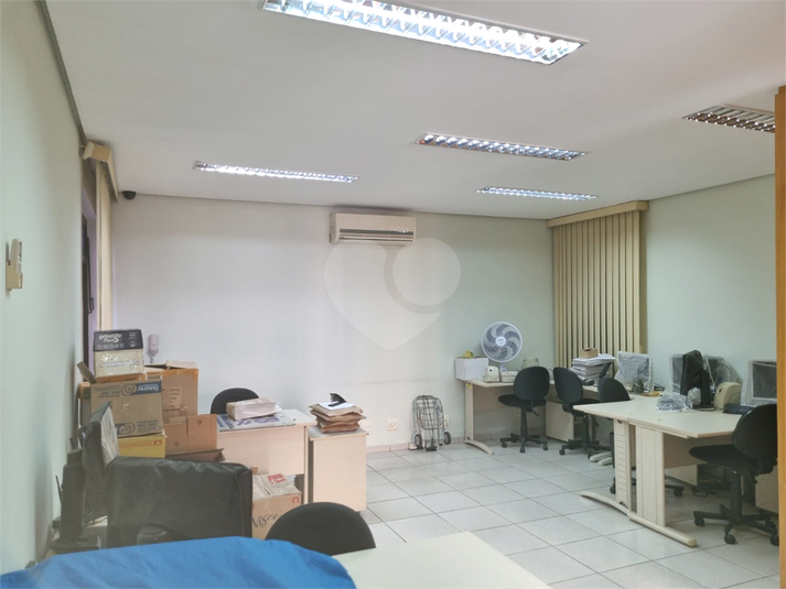 Foto REO1099247