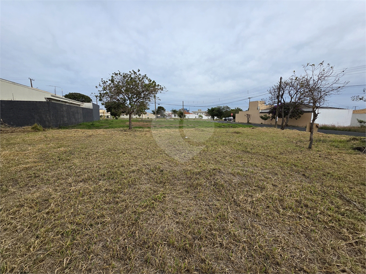 Foto REO1099254