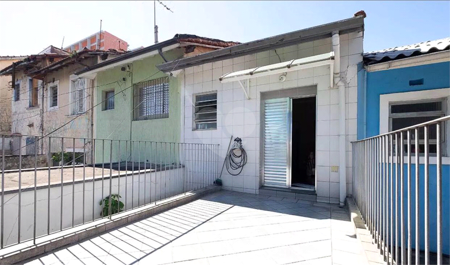 Foto REO1099258