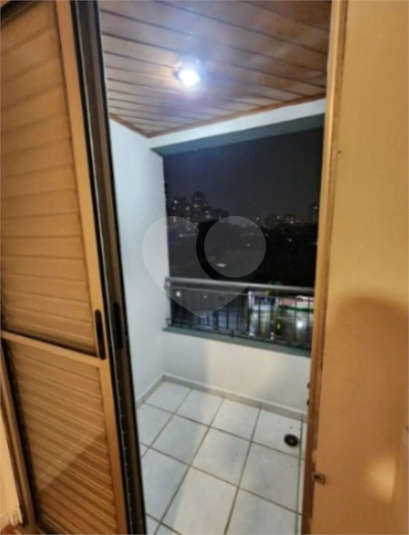 Foto REO1099260