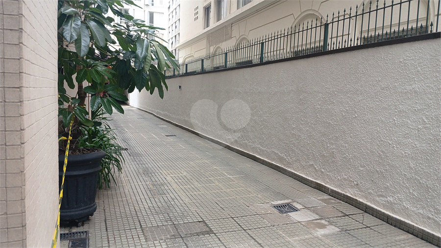 Foto REO1099263