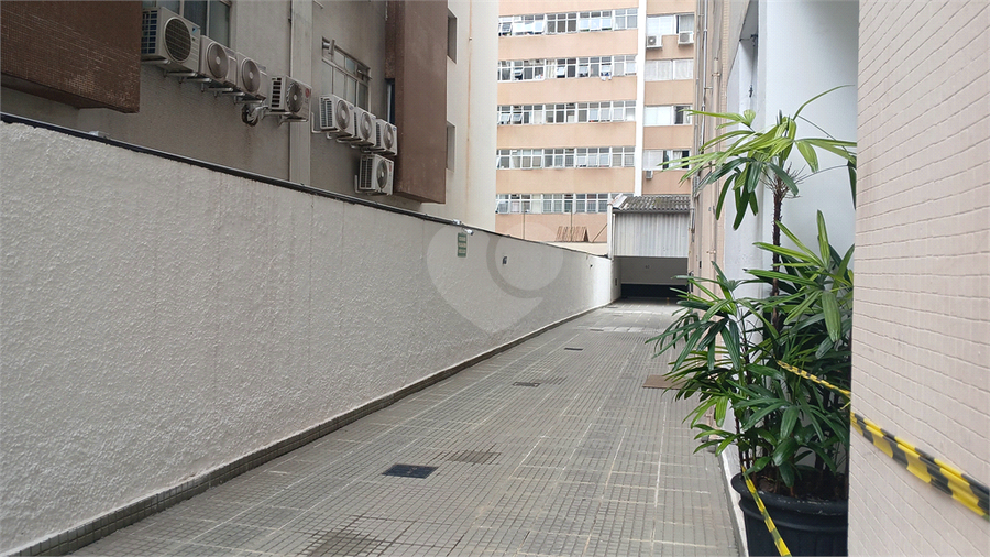 Foto REO1099263