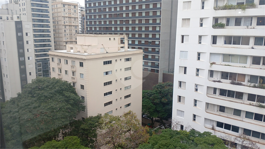 Foto REO1099263