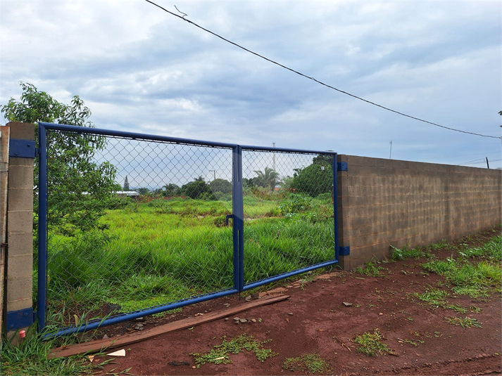 Foto REO1099264