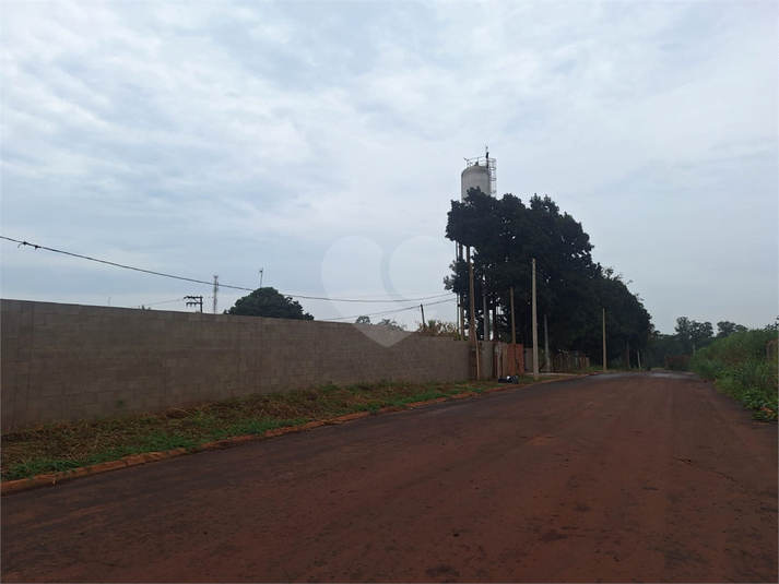 Foto REO1099264