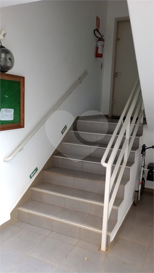 Foto REO1099274