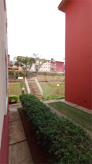 Foto REO1099274