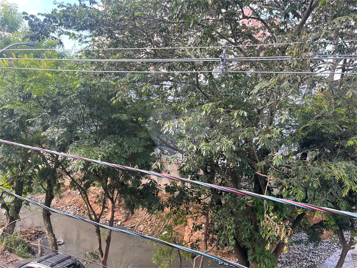 Foto REO1099275