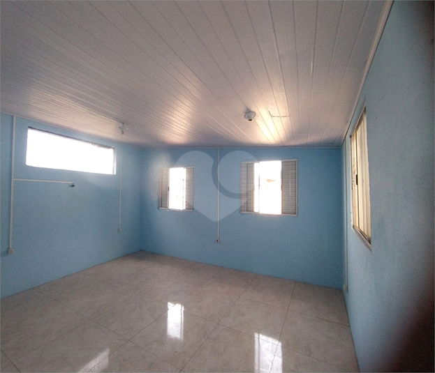 Foto REO1099277