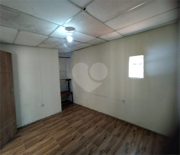 Foto REO1099277