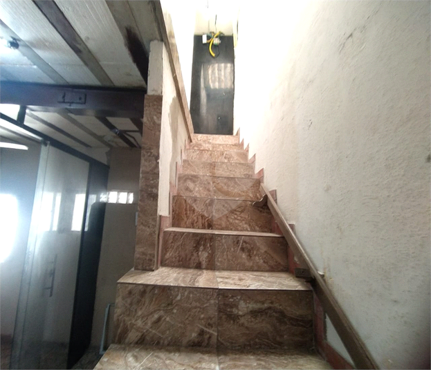 Foto REO1099277