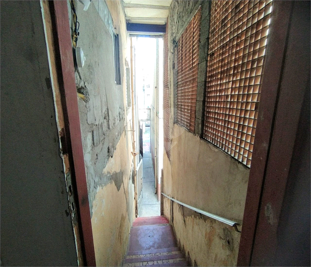 Foto REO1099277