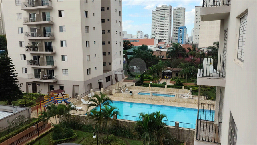 Foto REO1099280