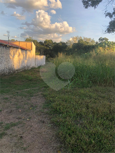 Foto REO1099288
