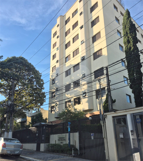 Foto REO1099298