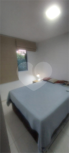 Foto REO1099316