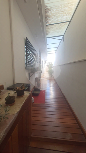 Foto REO1099330