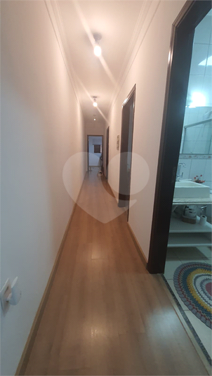 Foto REO1099330