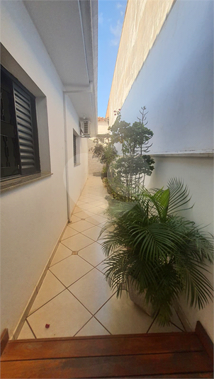 Foto REO1099330