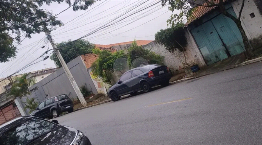 Foto REO1099341