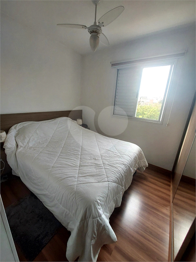 Foto REO1099349