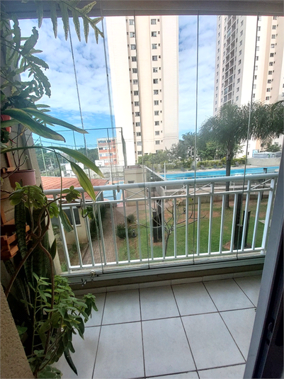 Foto REO1099349