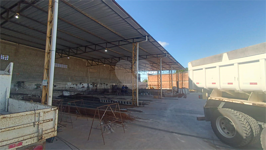 Foto REO1099350