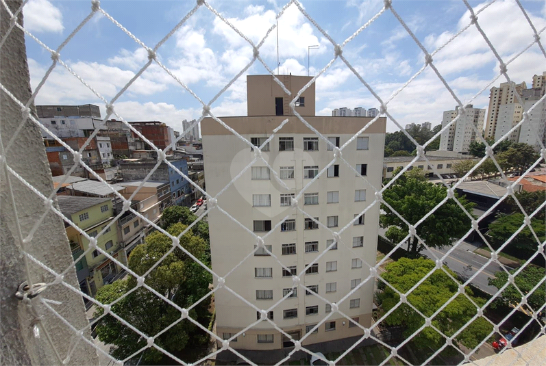 Foto REO1099361
