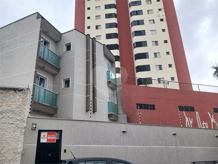 Foto REO1099370