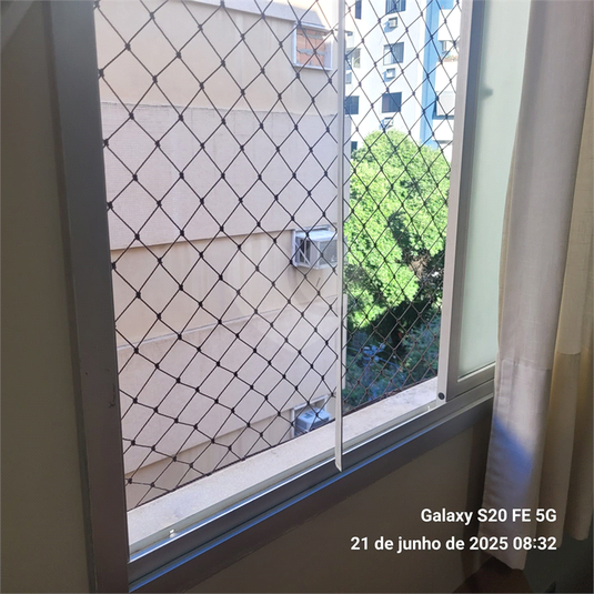 Foto REO1099379