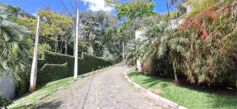 Foto REO1099380