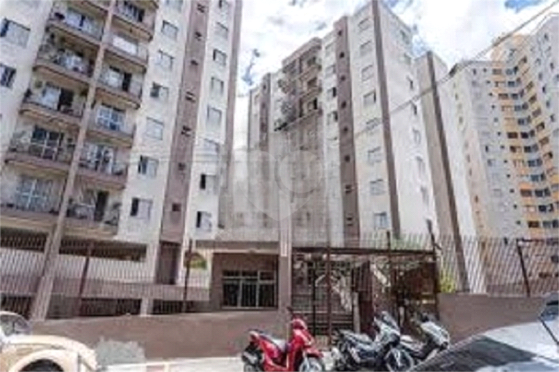 Foto REO1099383