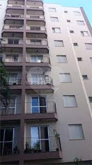 Foto REO1099383