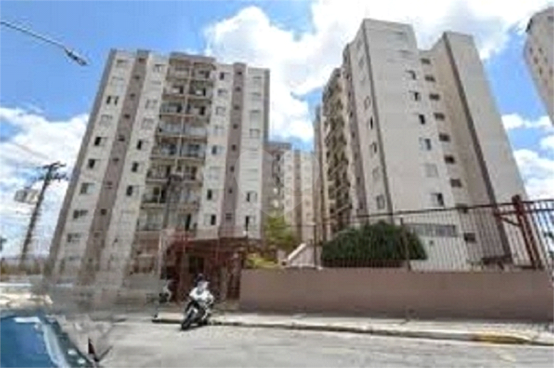 Foto REO1099383