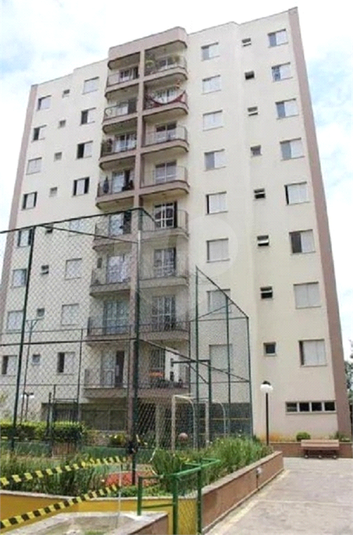 Foto REO1099383